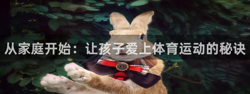 三亿体育