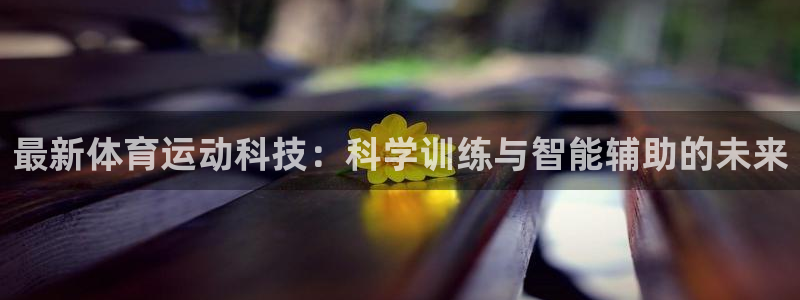 三亿体育网