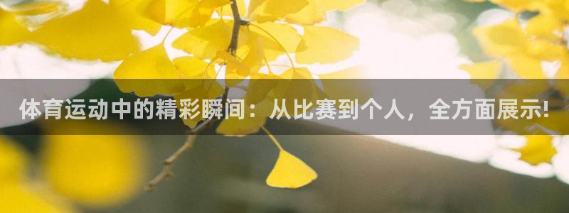 三亿体育