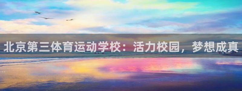 三亿体育网页版