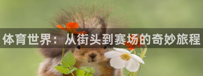 三亿体育网页版