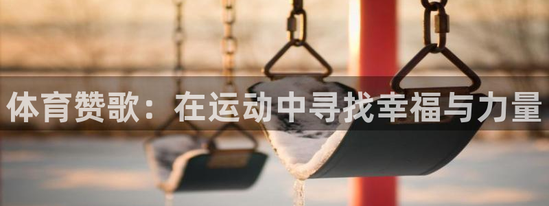 三亿体育网
