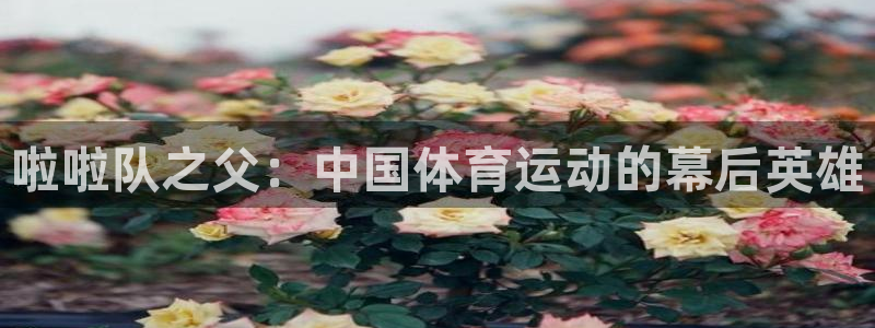 三亿体育网