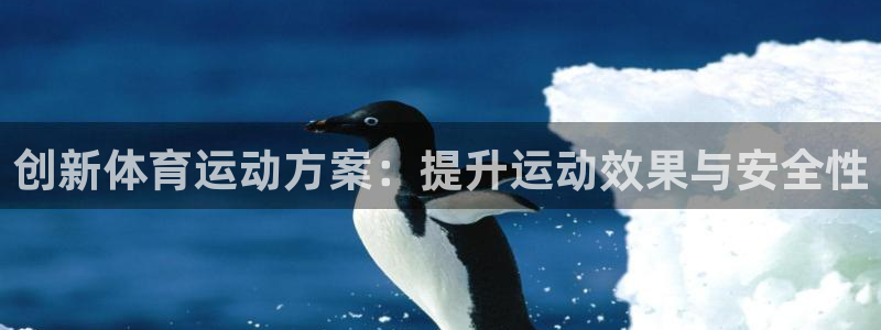 三亿体育网
