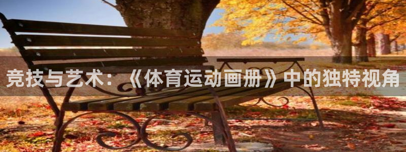 三亿体育