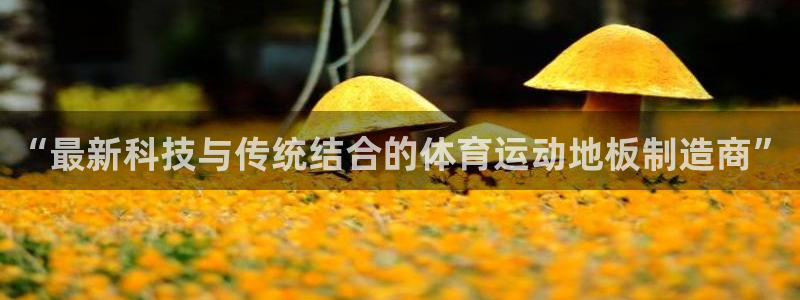 三亿体育登录