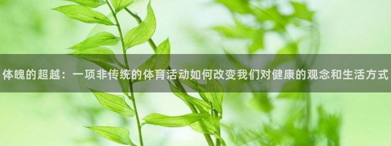 三亿体育网页版