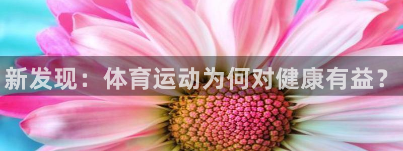 三亿体育