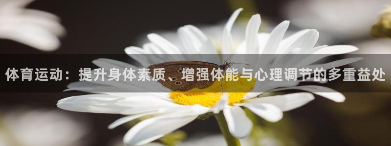 三亿体育