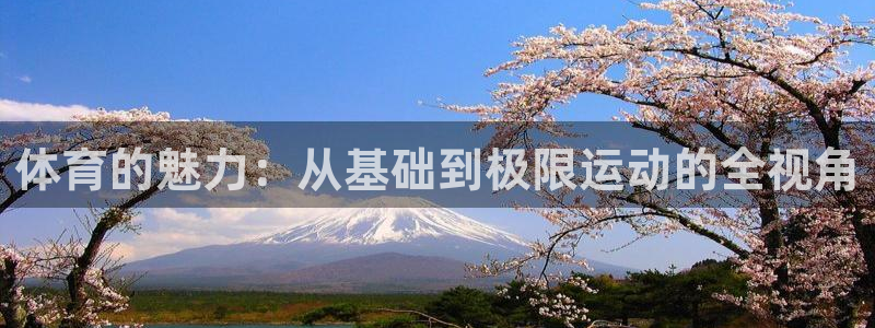 三亿体育网